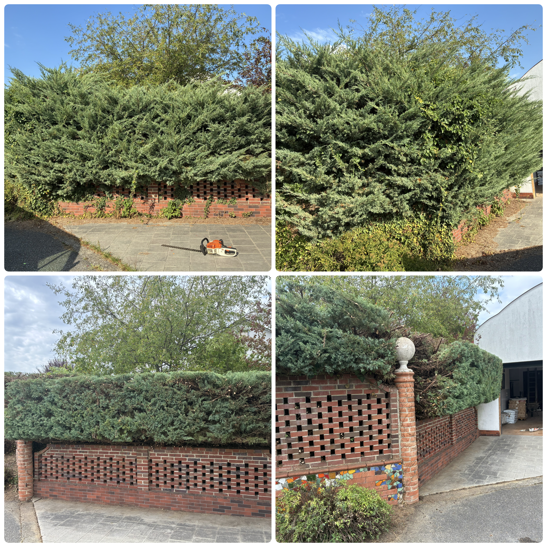 Gartenarbeit